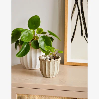 Rose & Grey Small Stoneware Tulip Plant Pot