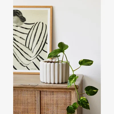 Rose & Grey Puffed Ridge Plant Pot
