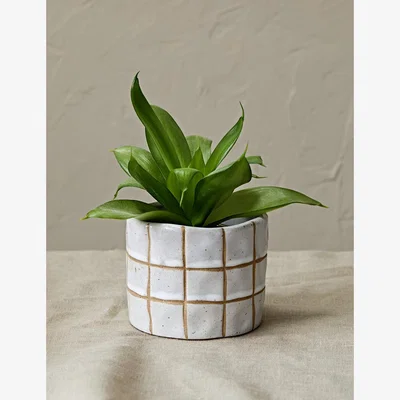 Rose & Grey Checkered Rustic Plant Pot