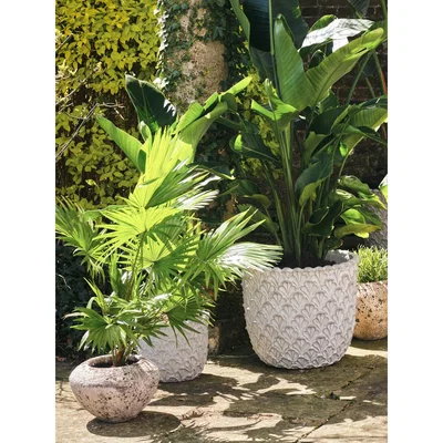 Soho Home Sagres Small Planter