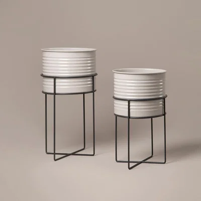 Sazy Cancan Planters & Stands Medium & Tall