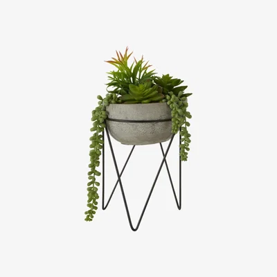 Teddy Beau Teddy's Collection Farrah Mixed Succulent Pot Stand Grey