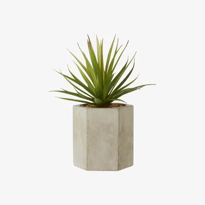 Teddy Beau Teddy's Collection Flora Sword Grass Ceramic Pot Grey