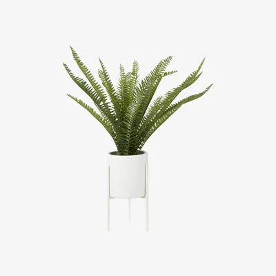 Teddy Beau Teddy's Collection Faith Fern Pot Iron Stand White