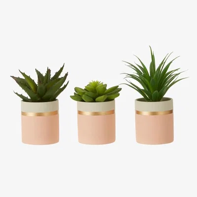 Teddy Beau Teddy's Collection Flavia Set Of 3 Succulents Lotus Aloe Vera Ceramic Pot Pink Gold