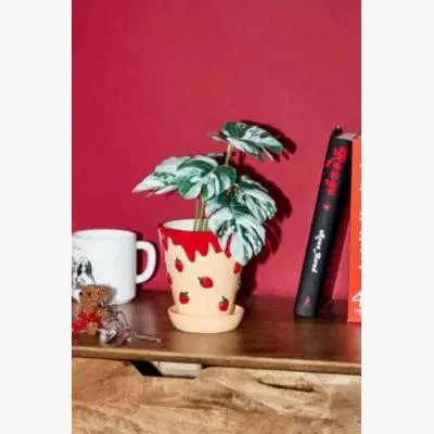 Urban Outfitters Strawberry Ice Cream Planter ALL at Urban Outfitters