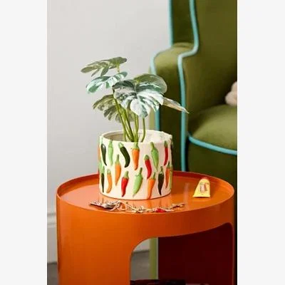Urban Outfitters Chilli Planter ALL at Urban Outfitters