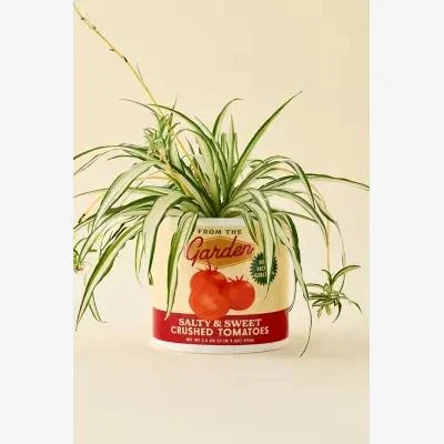 Urban Outfitters ban. do Tomato Tin Ceramic Planter - Red ALL at Urban Outfitters