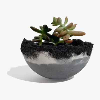 Wolf & Badger Black Ornamental Concrete Plant Pot Grey With Drain Hole | Studio Story