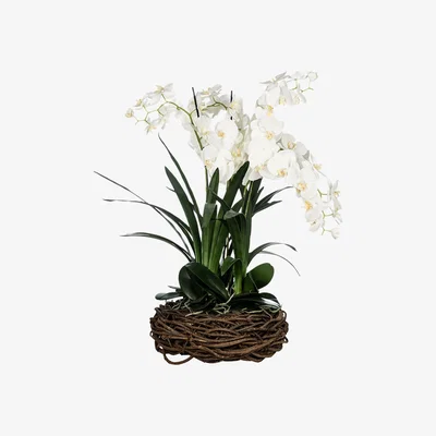 Amara rtfact - Orchids In Basket Bowl