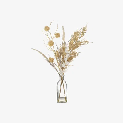 Amara Parlane - Dry Floral Arrangement in Vase - Large