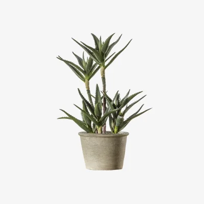Arighi Bianchi Artificial Potted Aloe Plant