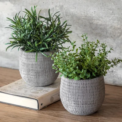 Arighi Bianchi Set of 2 Potted Plant Ceramic Scratch Pots Rosemary
