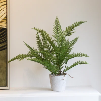 Arighi Bianchi Green Bracken Fern Plant in Grey Cement Pot