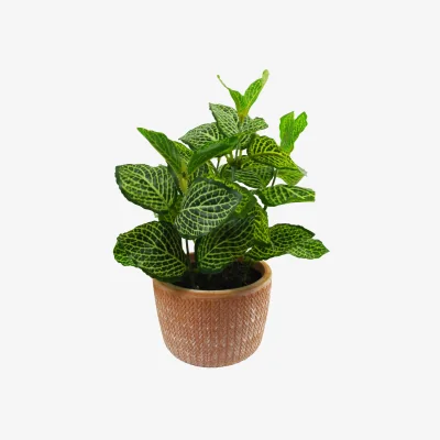 Arighi Bianchi Mini Artificial Pothos in Terracotta Pot