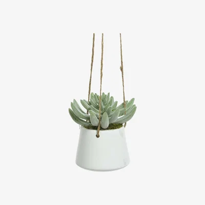 Barker and Stonehouse Artificial Hanging Potted Succulent Plant, White | Barker & Stonehouse
