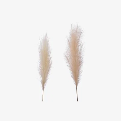 Barker and Stonehouse Set of 2 Neutral Pampas Grass