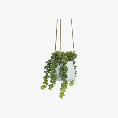 Barker and Stonehouse Artificial Trailing Hanging Potted Succulent Plant, White | Barker & Stonehouse