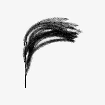 Barker and Stonehouse Black Faux Feather Plume | Barker & Stonehouse