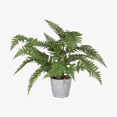 Barker and Stonehouse Large Faux Fern Potted Plant