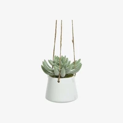 Barker and Stonehouse Artificial Hanging Potted Succulent Plant