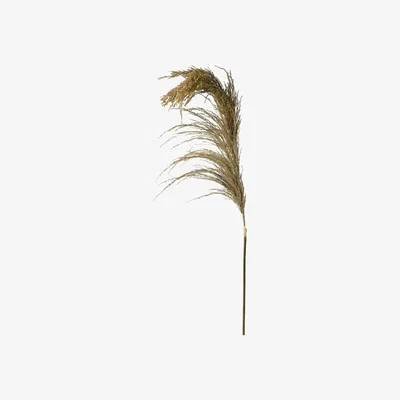 Barker and Stonehouse Dried Wheat Spray, Neutral | Barker & Stonehouse