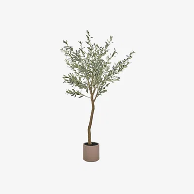 Barker and Stonehouse Large Potted Olive Tree | Barker & Stonehouse