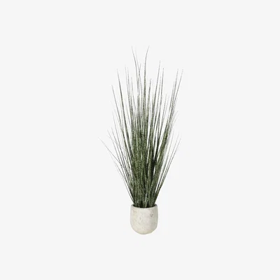 Barker and Stonehouse Potted Onion Grass, 776 | Barker & Stonehouse