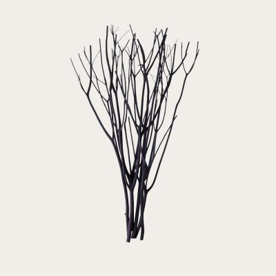 Bombinate.com Black Aroma Branch
