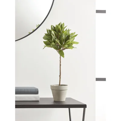 Cox and Cox Faux Potted Bay Tree - Small