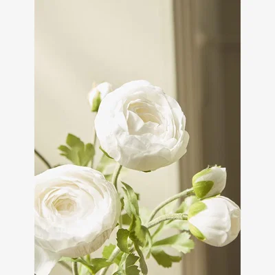 Cox and Cox Three Faux Ranunculus Stems - White