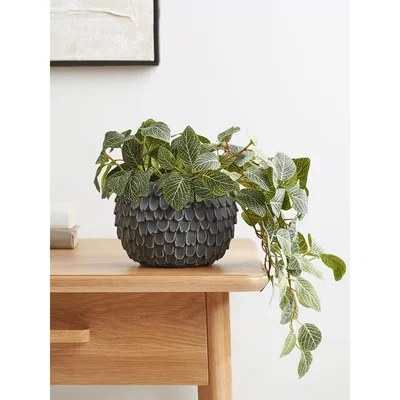 Cox and Cox NEW Layered Cement Planter - Grey
