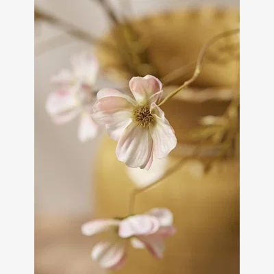 Cox and Cox Three Faux Cosmos Sprays - Soft Blush
