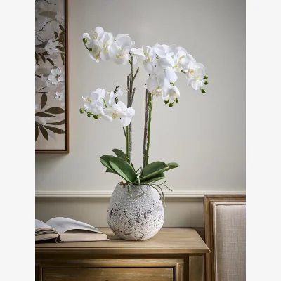 Cox and Cox Faux Potted Wild Orchid