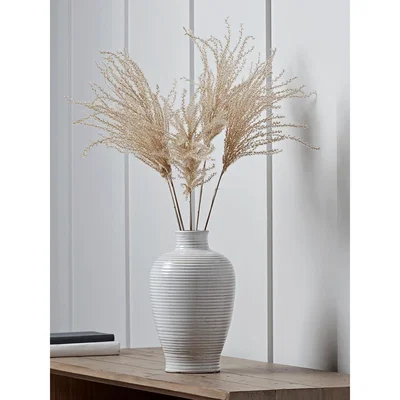 Cox and Cox Dried Grasses Bunch