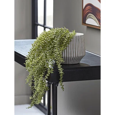 Cox and Cox NEW Faux Hanging Horsetail Cactus