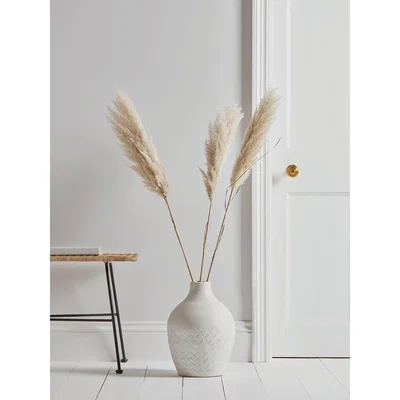 Cox and Cox Three Fluffy Pampas Plumes
