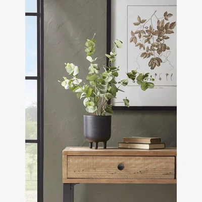 Cox and Cox Faux Potted Eucalyptus - Small