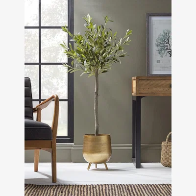Cox and Cox Faux Potted Olive Tree