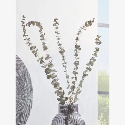 Cox and Cox Dried Eucalyptus Bunch