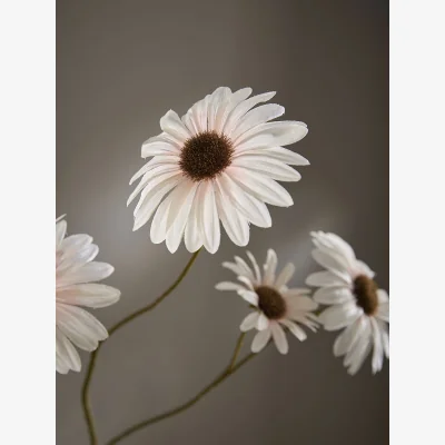 Cox and Cox Faux Daisy Spray - Soft Peach