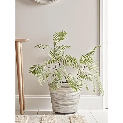 Cox and Cox Whitewashed Round Rattan Planter - Large