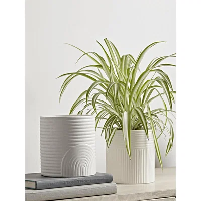 Cox and Cox Two White Ribbed Planters
