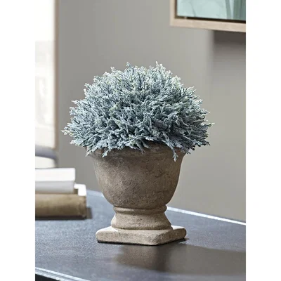 Cox and Cox NEW Faux Potted Evergreen
