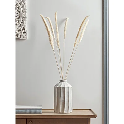 Cox and Cox Six Dried Pampas Grass Stems