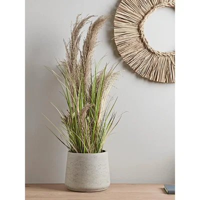 Cox and Cox Faux Potted Pampas Grass - Small