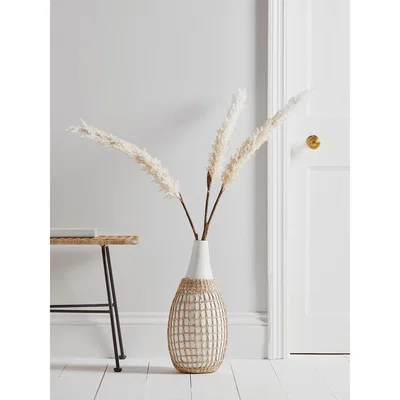 Cox and Cox Three Tall Pampas Stems