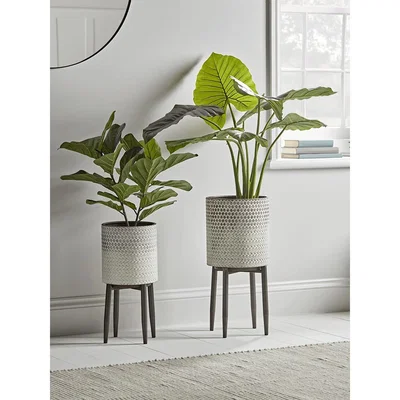 Cox and Cox Ombre Whitewashed Standing Planter - Large
