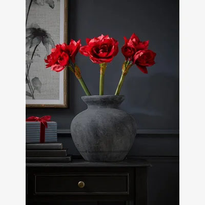 Cox and Cox Three Faux Amaryllis Stems - Red