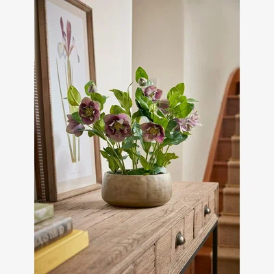 Cox and Cox Faux Potted Hellebore - Dusky Mauve